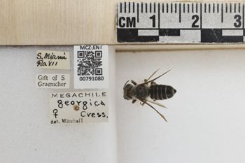 Media type: image;   Entomology 791080 Aspect: Labels